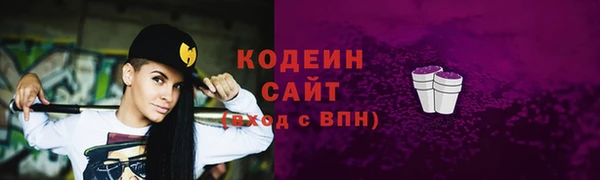 крисы Магас