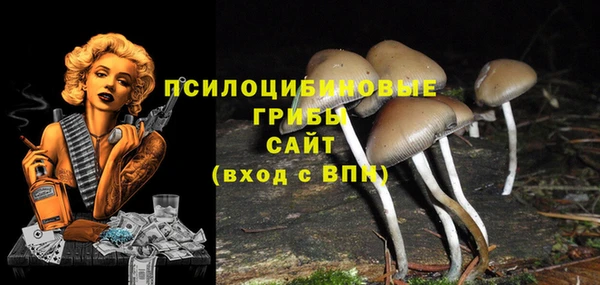 СК Мегион