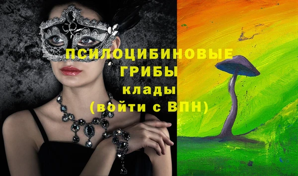крисы Магас