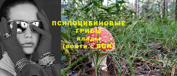 амфетамин Медвежьегорск