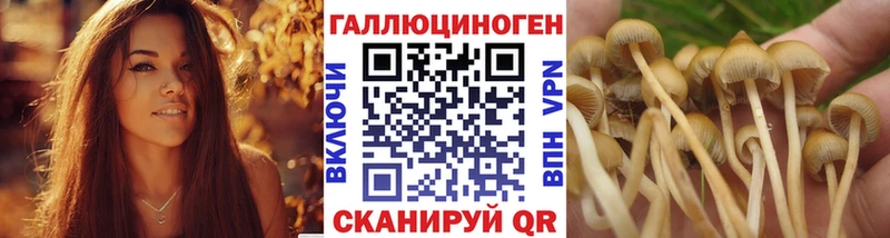 Псилоцибиновые грибы Magic Shrooms  что такое   Удомля 