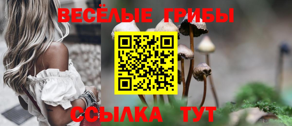 Удомля  Галлюциногенные грибы мухоморы  Галлюциногенные грибы Magic Shrooms  Вход с VPN 